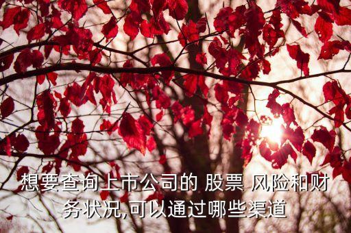 想要查詢上市公司的 股票 風(fēng)險(xiǎn)和財(cái)務(wù)狀況,可以通過(guò)哪些渠道