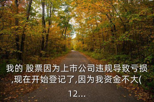 我的 股票因為上市公司違規(guī)導(dǎo)致虧損,現(xiàn)在開始登記了,因為我資金不大(12...