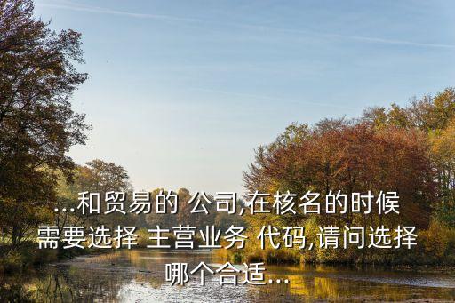 ...和貿(mào)易的 公司,在核名的時候需要選擇 主營業(yè)務(wù) 代碼,請問選擇哪個合適...