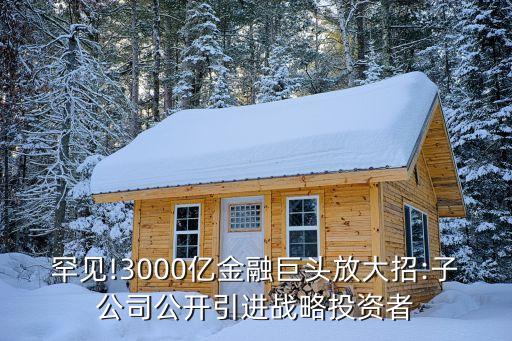 罕見!3000億金融巨頭放大招:子公司公開引進戰(zhàn)略投資者