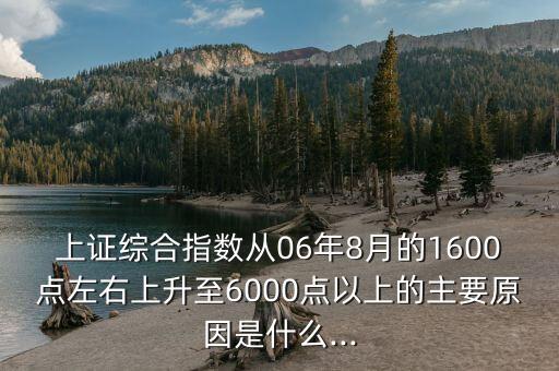 上證綜合指數(shù)從06年8月的1600點(diǎn)左右上升至6000點(diǎn)以上的主要原因是什么...