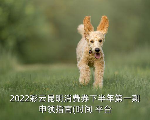 2022彩云昆明消費(fèi)券下半年第一期申領(lǐng)指南(時(shí)間 平臺(tái)