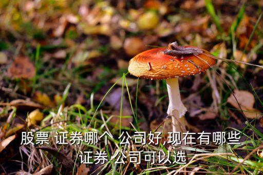 股票 證券哪個(gè) 公司好,現(xiàn)在有哪些 證券 公司可以選