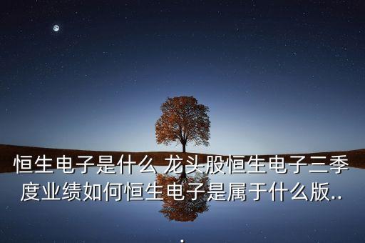 恒生電子是什么 龍頭股恒生電子三季度業(yè)績(jī)?nèi)绾魏闵娮邮菍儆谑裁窗?..