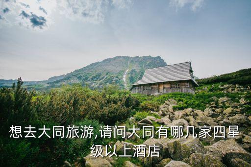 想去大同旅游,請問大同有哪幾家四星級以上酒店