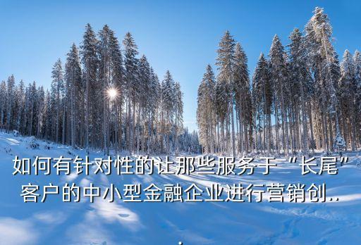 如何有針對性的讓那些服務(wù)于“長尾”客戶的中小型金融企業(yè)進(jìn)行營銷創(chuàng)...