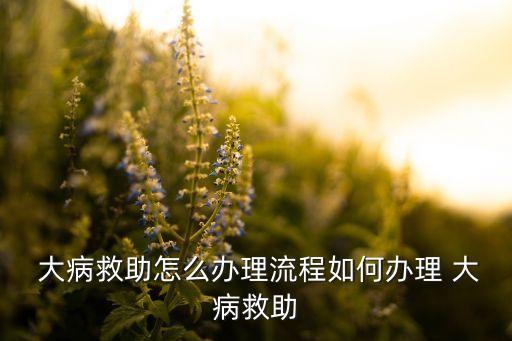  大病救助怎么辦理流程如何辦理 大病救助