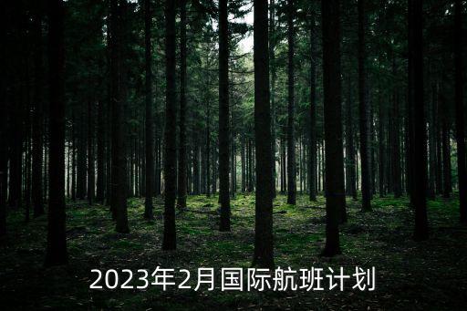 2023年2月國際航班計劃