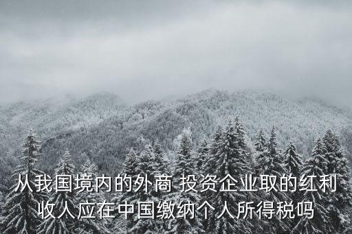 從我國境內的外商 投資企業(yè)取的紅利收人應在中國繳納個人所得稅嗎