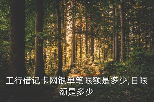 工商銀行免手續(xù)費13筆