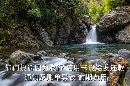 如何投訴因?yàn)檗r(nóng)行 信用卡沒(méi)給發(fā)還款 通知及賬單導(dǎo)致 逾期費(fèi)用