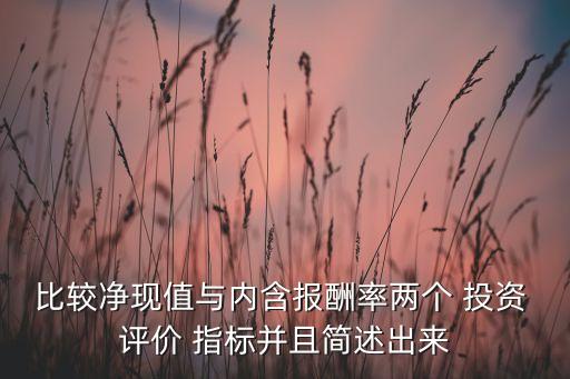 比較凈現(xiàn)值與內(nèi)含報(bào)酬率兩個(gè) 投資 評(píng)價(jià) 指標(biāo)并且簡(jiǎn)述出來(lái)