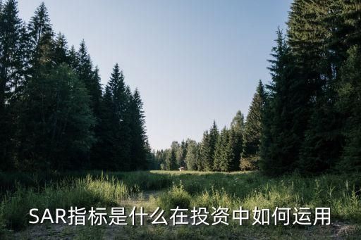 SAR指標是什么在投資中如何運用