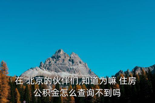 在 北京的伙伴們,知道為嘛 住房 公積金怎么查詢(xún)不到嗎