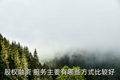 股權(quán)融資 服務(wù)主要有哪些方式比較好