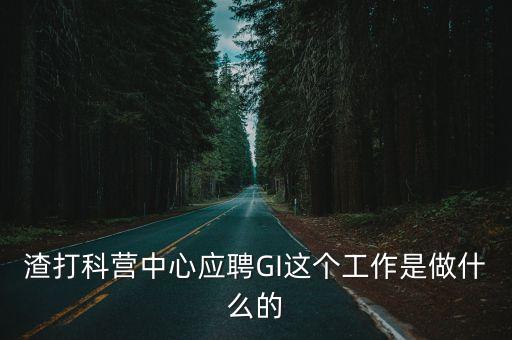 渣打科營中心應(yīng)聘GI這個工作是做什么的