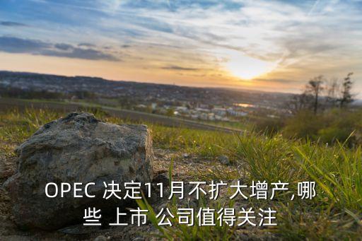 OPEC 決定11月不擴(kuò)大增產(chǎn),哪些 上市 公司值得關(guān)注