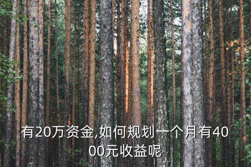 有20萬資金,如何規(guī)劃一個月有4000元收益呢