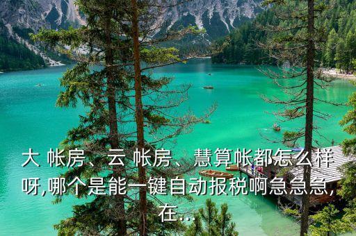 大 帳房、云 帳房、慧算帳都怎么樣呀,哪個是能一鍵自動報稅啊急急急,在...