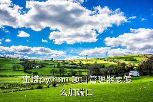  寶塔python 項(xiàng)目管理器要怎么加端口