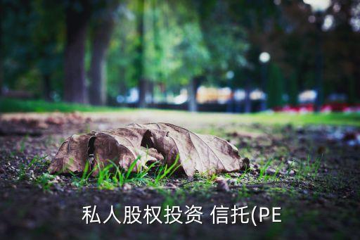  私人股權(quán)投資 信托(PE