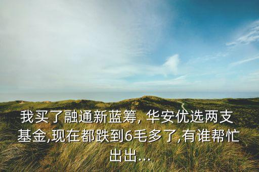 我買了融通新藍籌, 華安優(yōu)選兩支 基金,現(xiàn)在都跌到6毛多了,有誰幫忙出出...