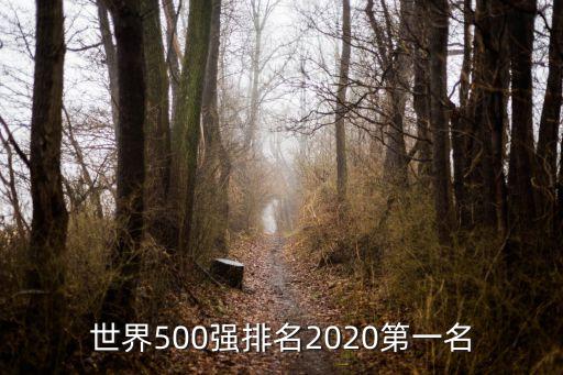 世界500強(qiáng)排名2020第一名