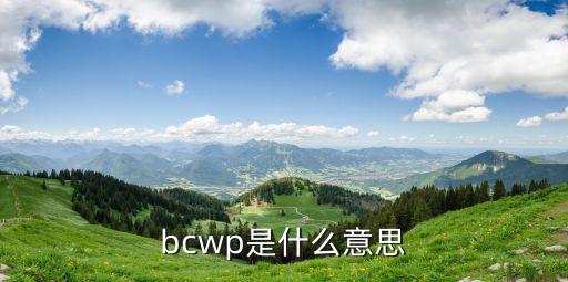 bcwp是什么意思