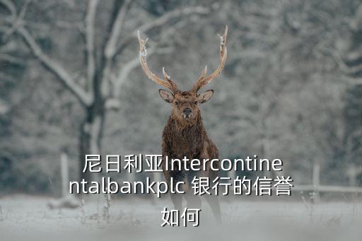  尼日利亞Intercontinentalbankplc 銀行的信譽(yù)如何