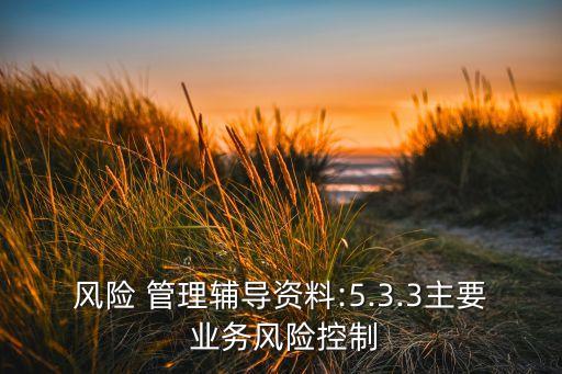 風(fēng)險 管理輔導(dǎo)資料:5.3.3主要 業(yè)務(wù)風(fēng)險控制