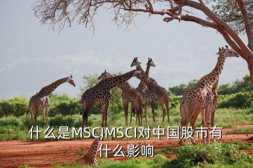 什么是MSCIMSCI對中國股市有什么影響