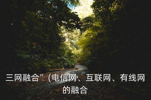 三網(wǎng)融合”(電信網(wǎng)、互聯(lián)網(wǎng)、有線網(wǎng)的融合