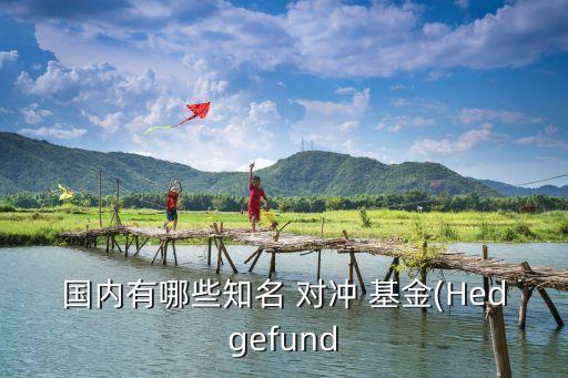 國內有哪些知名 對沖 基金(Hedgefund