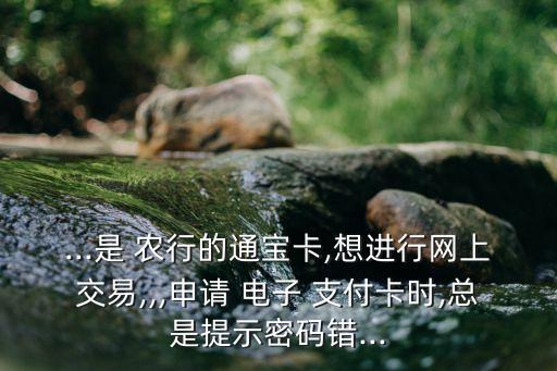 ...是 農(nóng)行的通寶卡,想進(jìn)行網(wǎng)上交易,,,申請(qǐng) 電子 支付卡時(shí),總是提示密碼錯(cuò)...