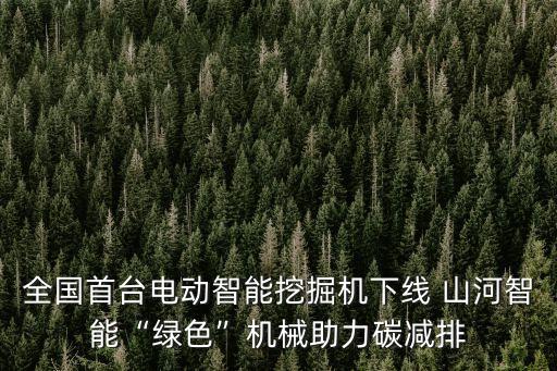 山河集團董事長,武漢山河集團董事長