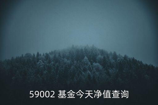 59002 基金今天凈值查詢