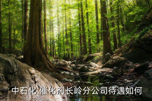  中石化 催化劑長(zhǎng)嶺分公司待遇如何