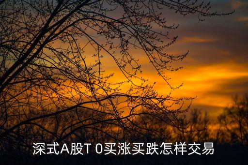 深式A股T 0買(mǎi)漲買(mǎi)跌怎樣交易