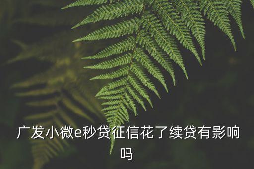  廣發(fā)小微e秒貸征信花了續(xù)貸有影響嗎