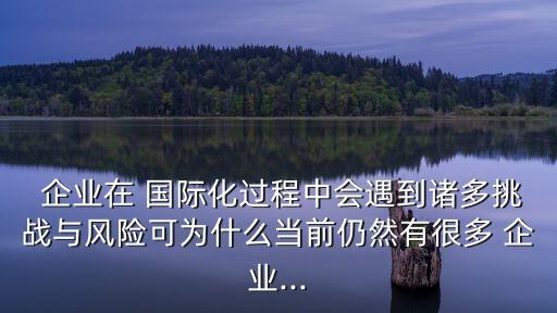 中國(guó)企業(yè)在國(guó)際金融市場(chǎng)的需求