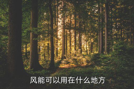  風(fēng)能可以用在什么地方