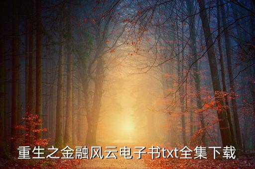 重生之金融風(fēng)云電子書txt全集下載