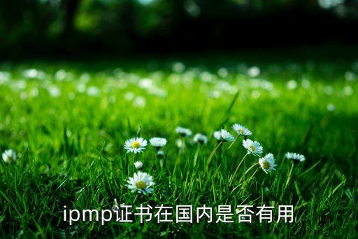 ipmp證書在國內(nèi)是否有用