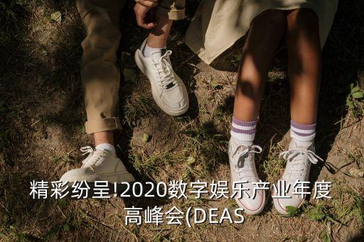 精彩紛呈!2020數(shù)字娛樂產(chǎn)業(yè)年度 高峰會(DEAS