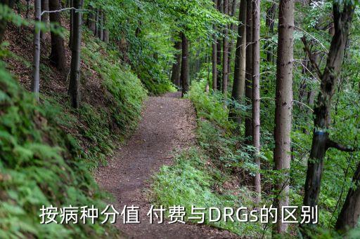 按病種分值 付費與DRGs的區(qū)別