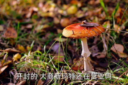 開封的 大商新瑪特還在營(yíng)業(yè)嗎