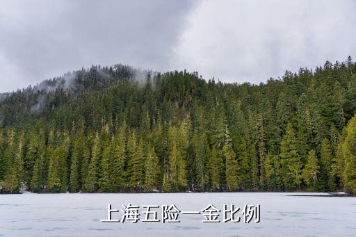  上海五險(xiǎn)一金比例