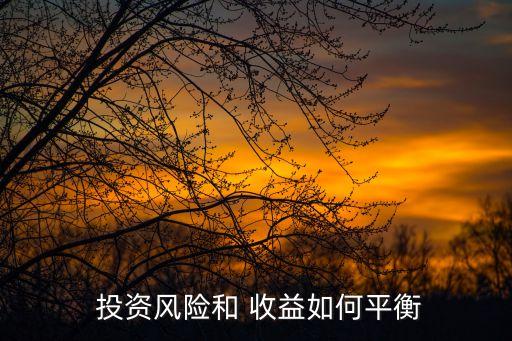  投資風(fēng)險(xiǎn)和 收益如何平衡