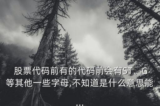  股票代碼前有的代碼前會(huì)有ST、G等其他一些字母,不知道是什么意思能...