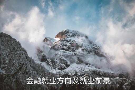  金融就業(yè)方向及就業(yè)前景